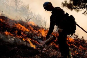 Prescribed Burning Cuts Wildfire Damage and Pollution
