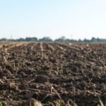 Soil Pollution Causes and Remediation Techniques