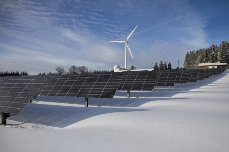 Why Clean Energy Is Biodiversity’s Best Ally