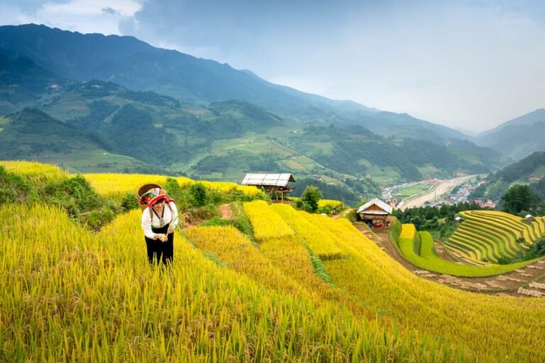 Agritourism & Regenerative Wellness