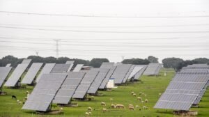 Agrivoltaics Gain Public Support as Solar Farms Are Paired with Agriculture
