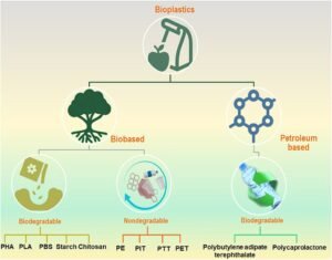 Are Bioplastics Ready for the Real World