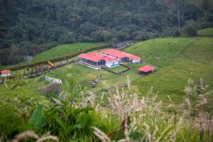 Farm Stays
