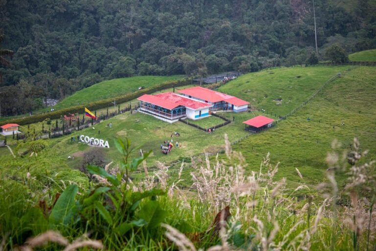 Farm Stays