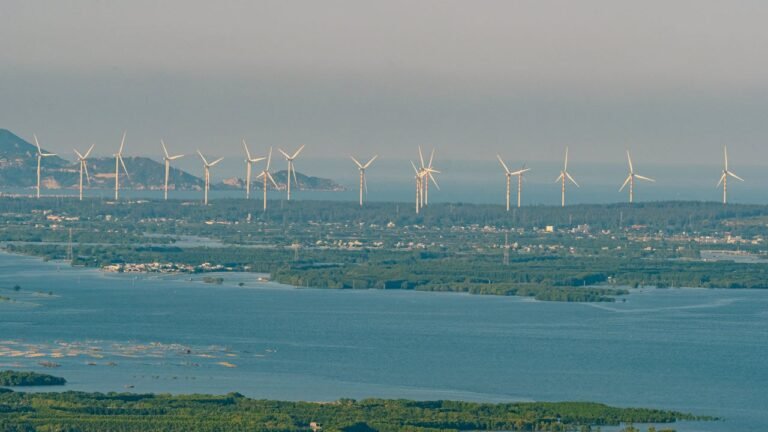 Offshore Wind Could Host Large-Scale Seaweed Farms and Capture Carbon Fast