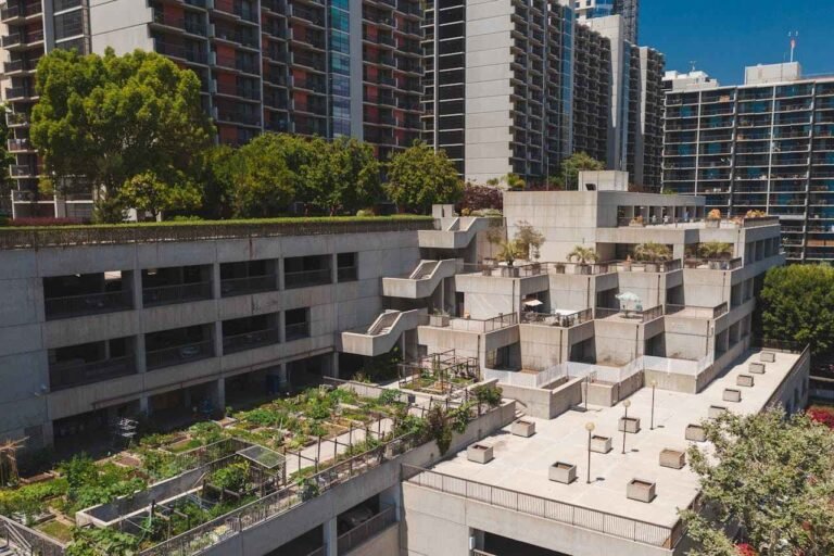 Rooftop Gardening Grows as Smart Eco Solution in Cities