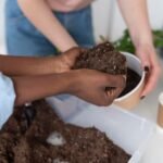 Community Biochar Donations Boost Small Food Banks and Gardens After Summer Trials