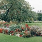 Meriden Turns Vacant Municipal Lots Into Pocket Gardens to Boost Biodiversity and Community Food Access