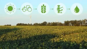 National Geographic and PepsiCo Launch Regenerative Agriculture Education Program