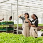 Rooftop Farmer Training Program Scales in Toronto Giving Young People a Route into Sustainable Food Jobs