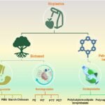 Can Software Fix Bioplastic Recycling