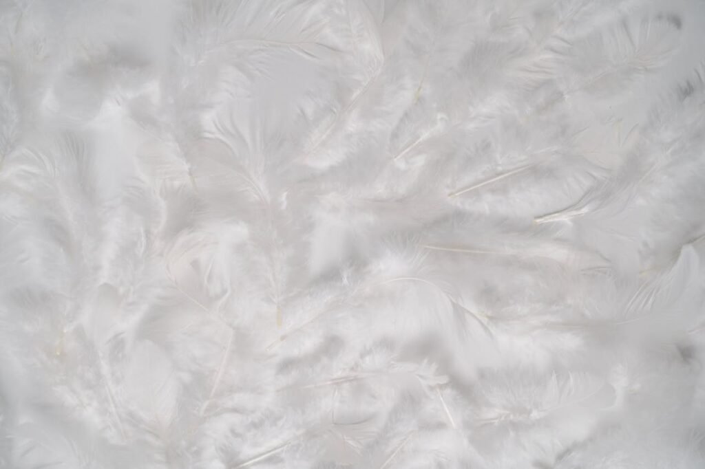Design Project Turns Feathers into Fabric