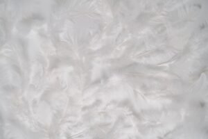 Design Project Turns Feathers into Fabric