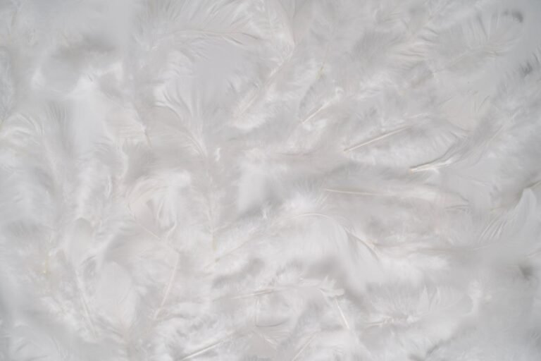 Design Project Turns Feathers into Fabric