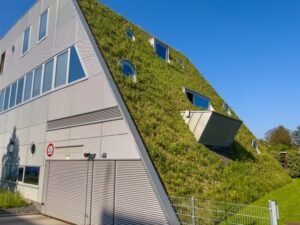 Green Roofs