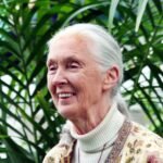 Jane Goodall - A Life That Rewrote Our Relationship with Nature