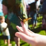 What It Usually Means When a Butterfly Lands on You